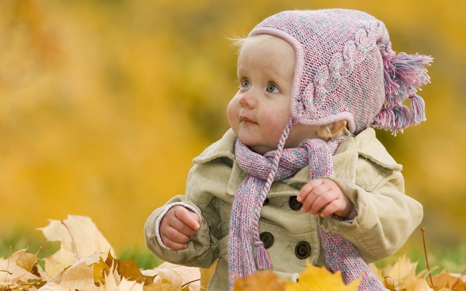 Wallpaper Cute Babies HD