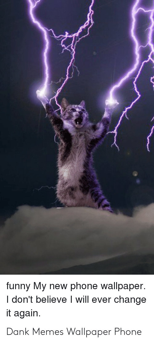 Power Cat Meme HD Wallpaper Background