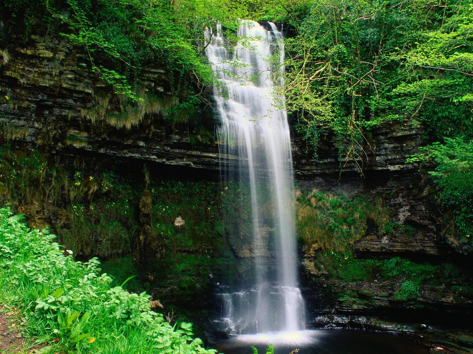 Waterfall Wallpaper Are Given Above All The Show