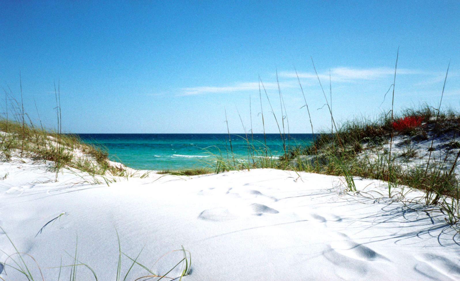 White Sand Beaches In Florida Wallpaper Joss