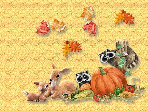 Photo Fall Animal Wallpaper Seasonal Holiday Album