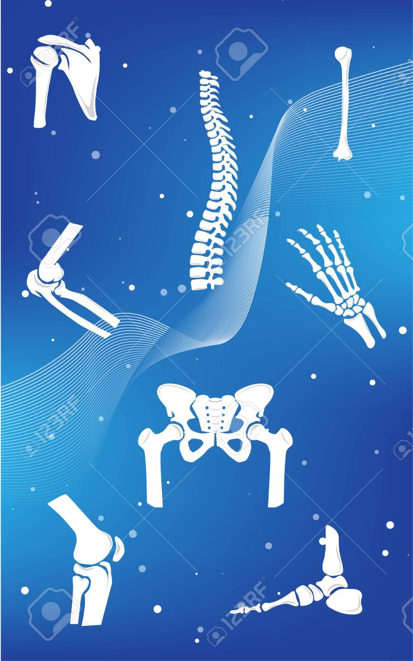 Medical Infographic Orthopedic Anatomy Abstract Background With
