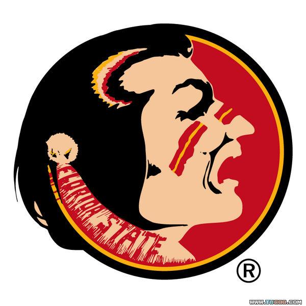 Florida State Seminoles Cake Ideas and Designs Page 2