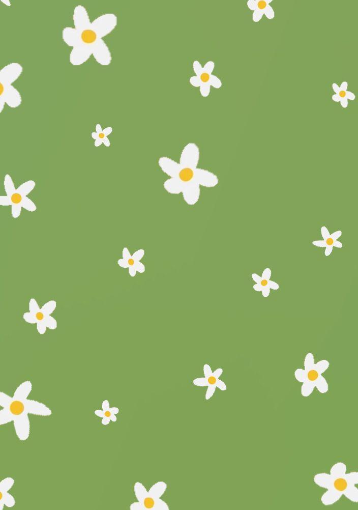 Green Flower Wallpaper Daisy iPhone