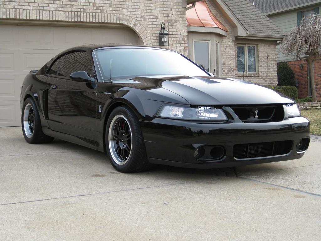 Mustang Svt Cobra The Terminator Dark Cars Wallpaper Car Pictures