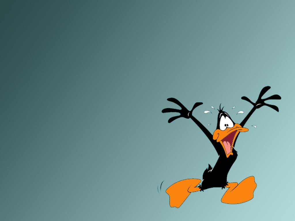 Daffy Duck Warner Brothers Animation Wallpaper