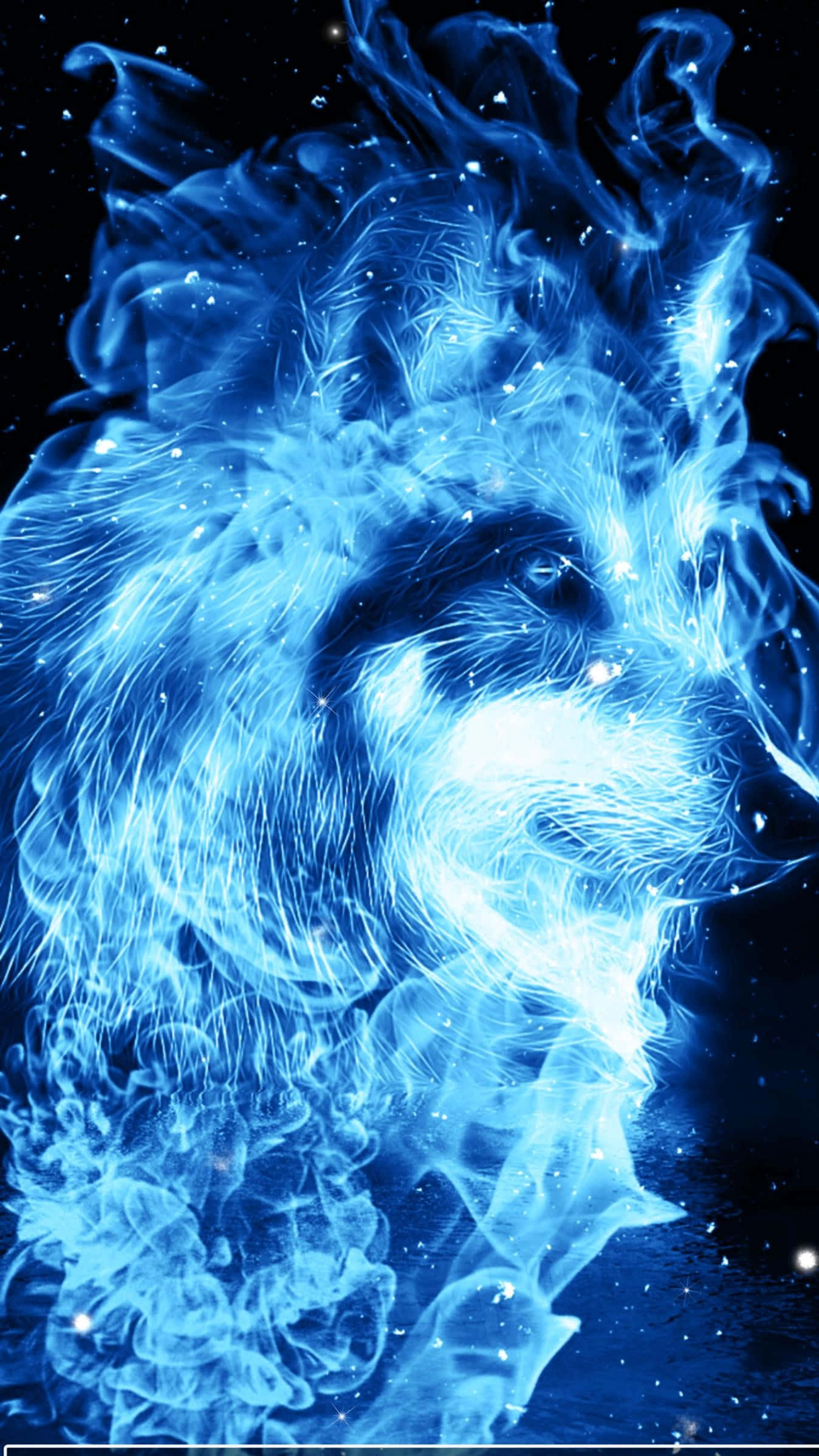 A Blue Wolf With Flame In The Wallpaper