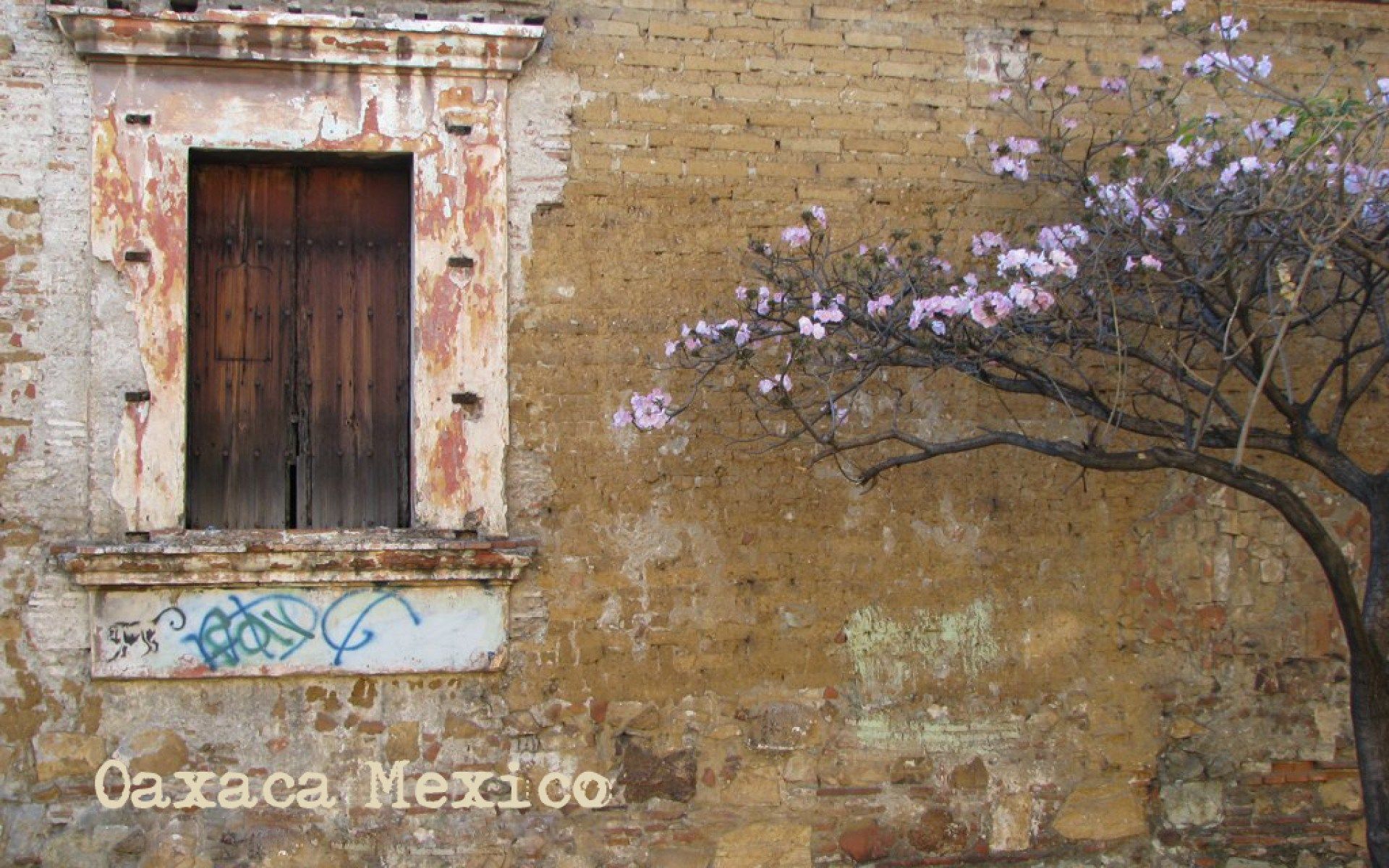 Mexico Wallpaper Travel Store Paper Oaxaca February Ololoshenka