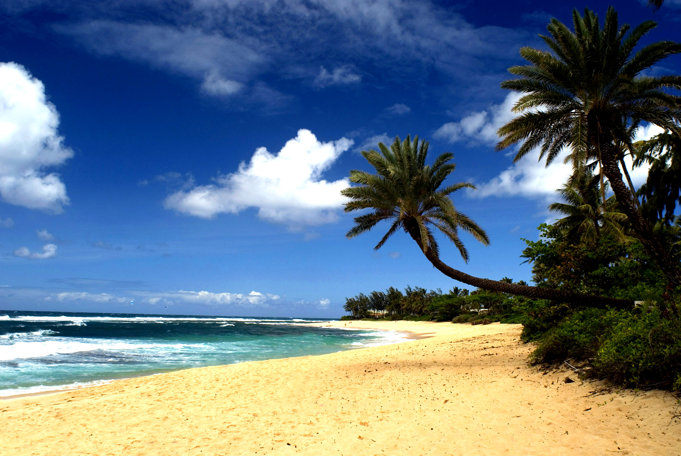 Beach Sand In Hawai I
