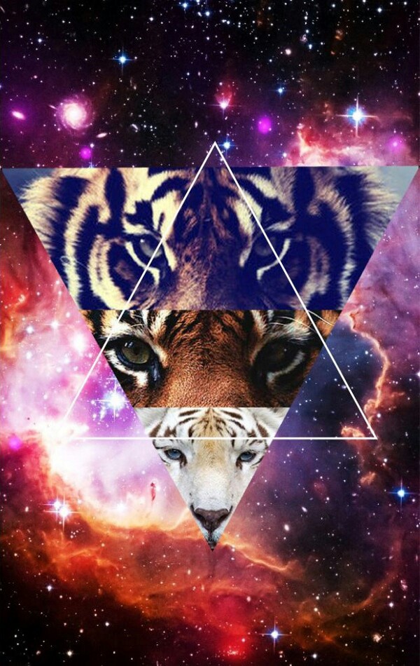 Galaxy Hipster Tiger Wallpaper