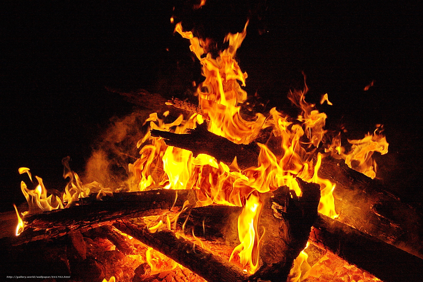 Wallpaper Night Bonfire Fire Firewood