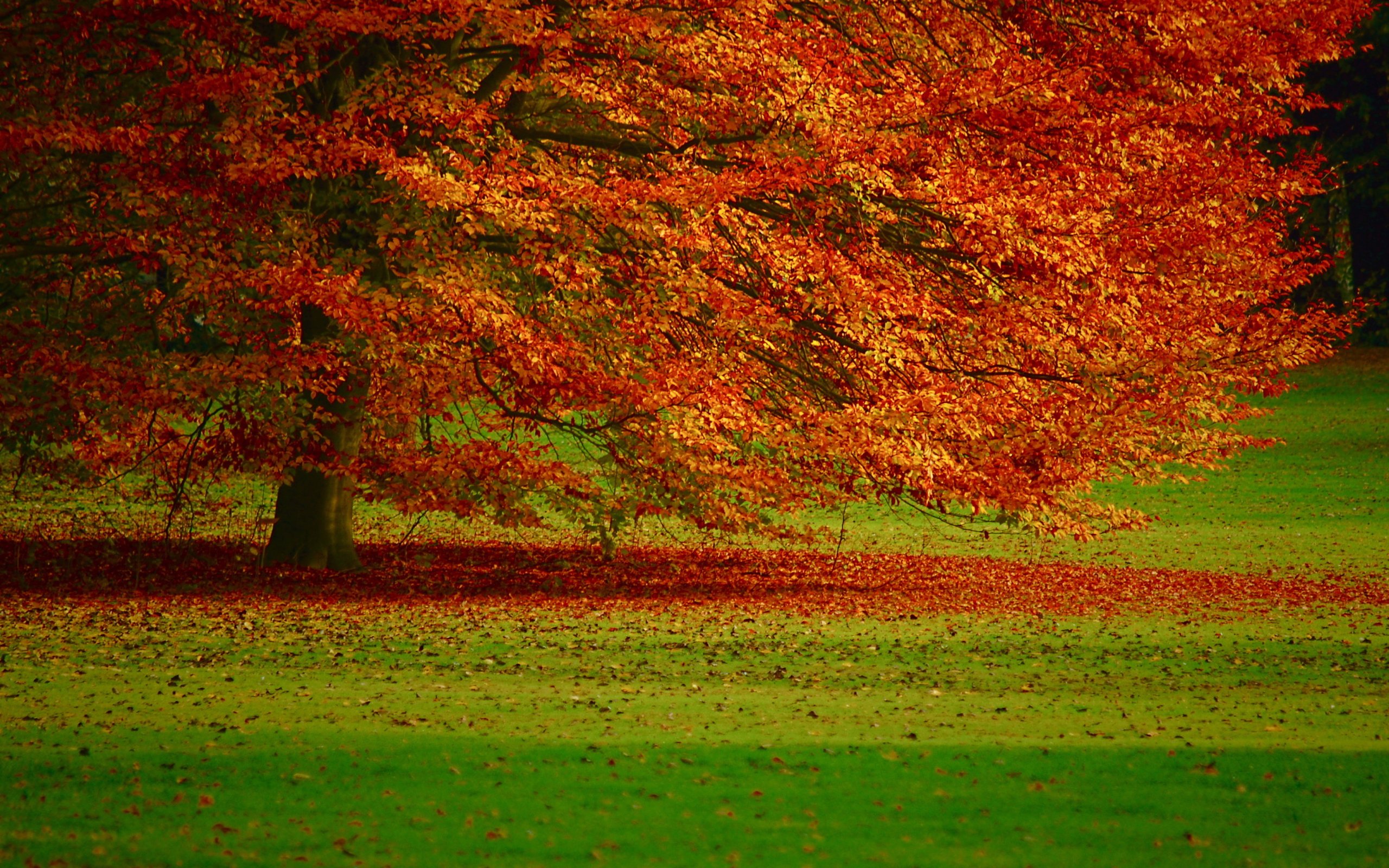 Autumn Landscape Mac Desktop Background For The Fall