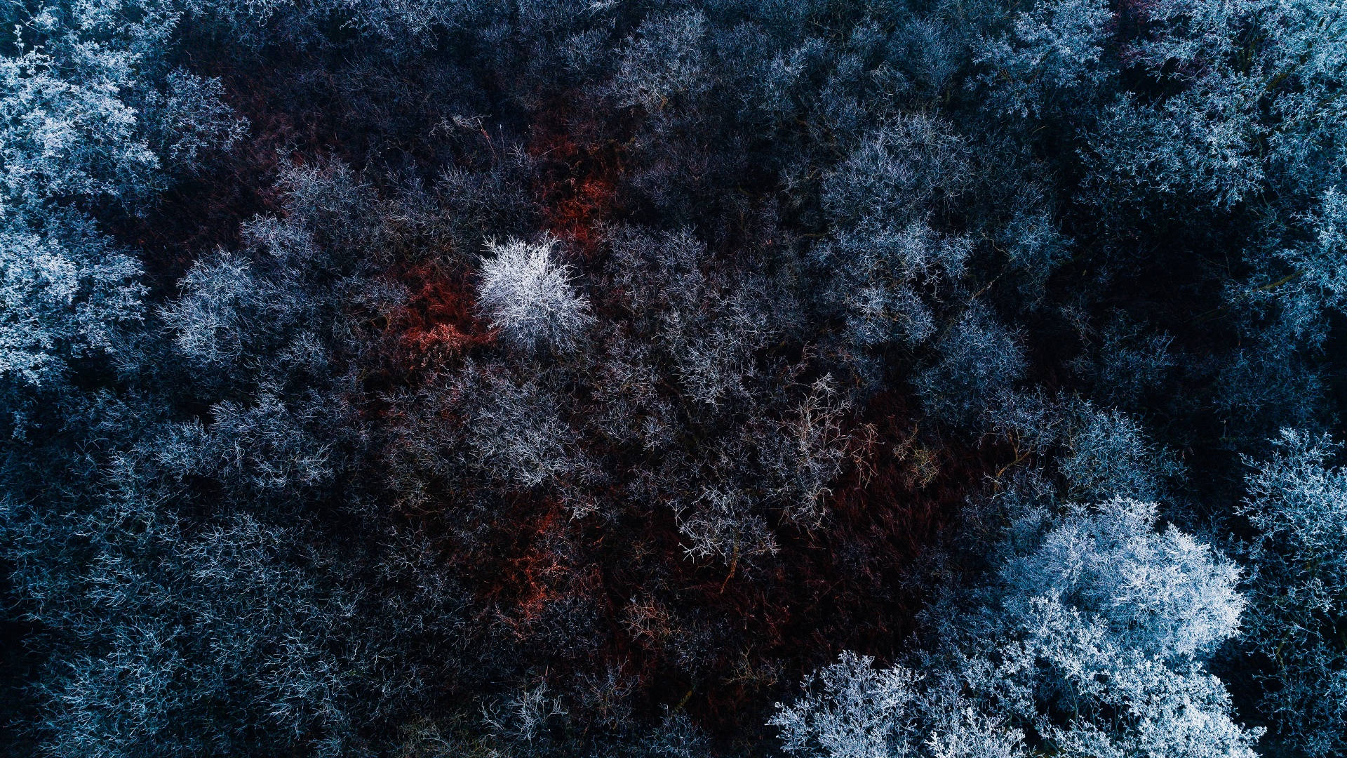 Winter Aesthetic Wallpaper