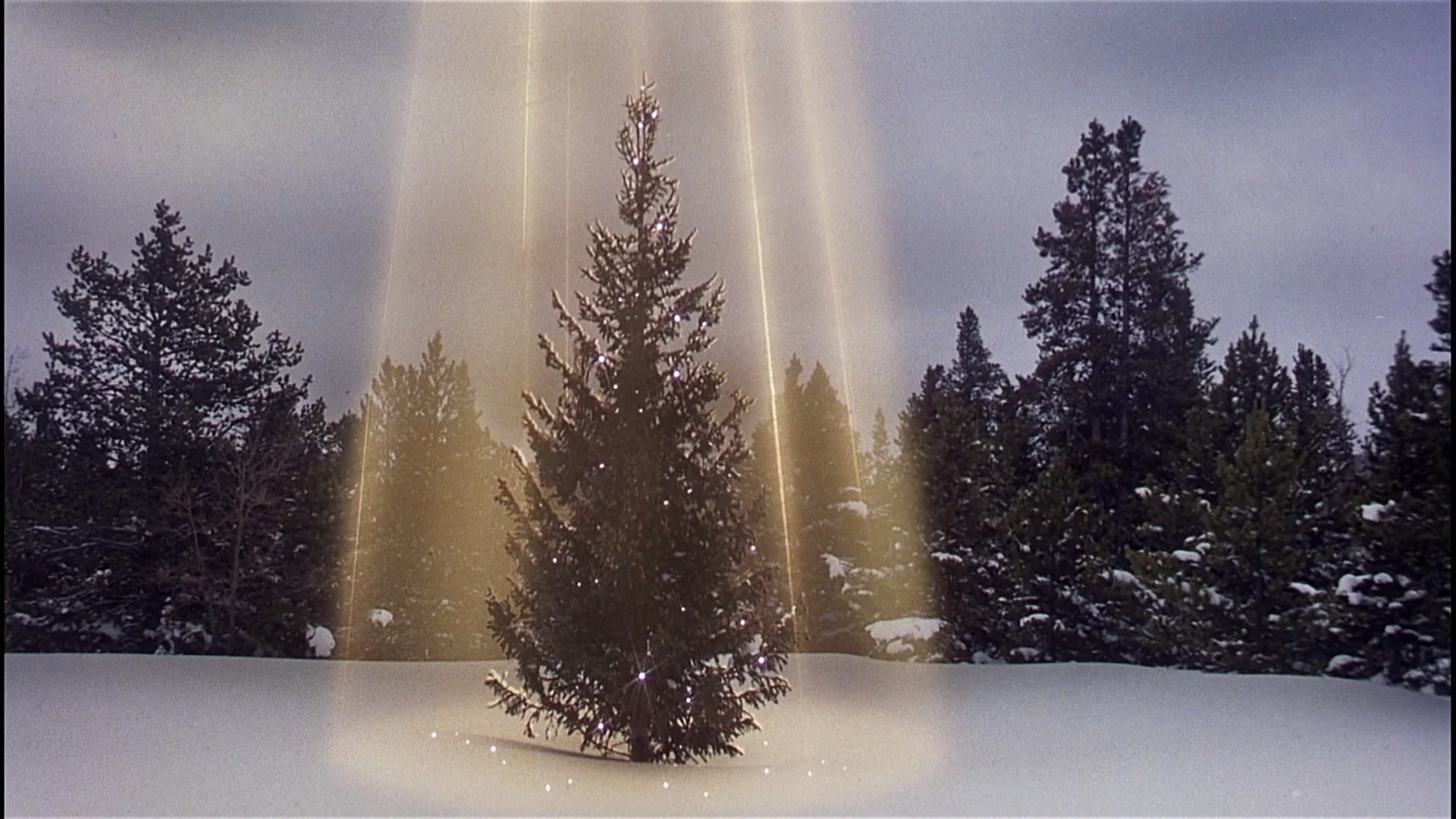 Christmas Vacation Wallpaper