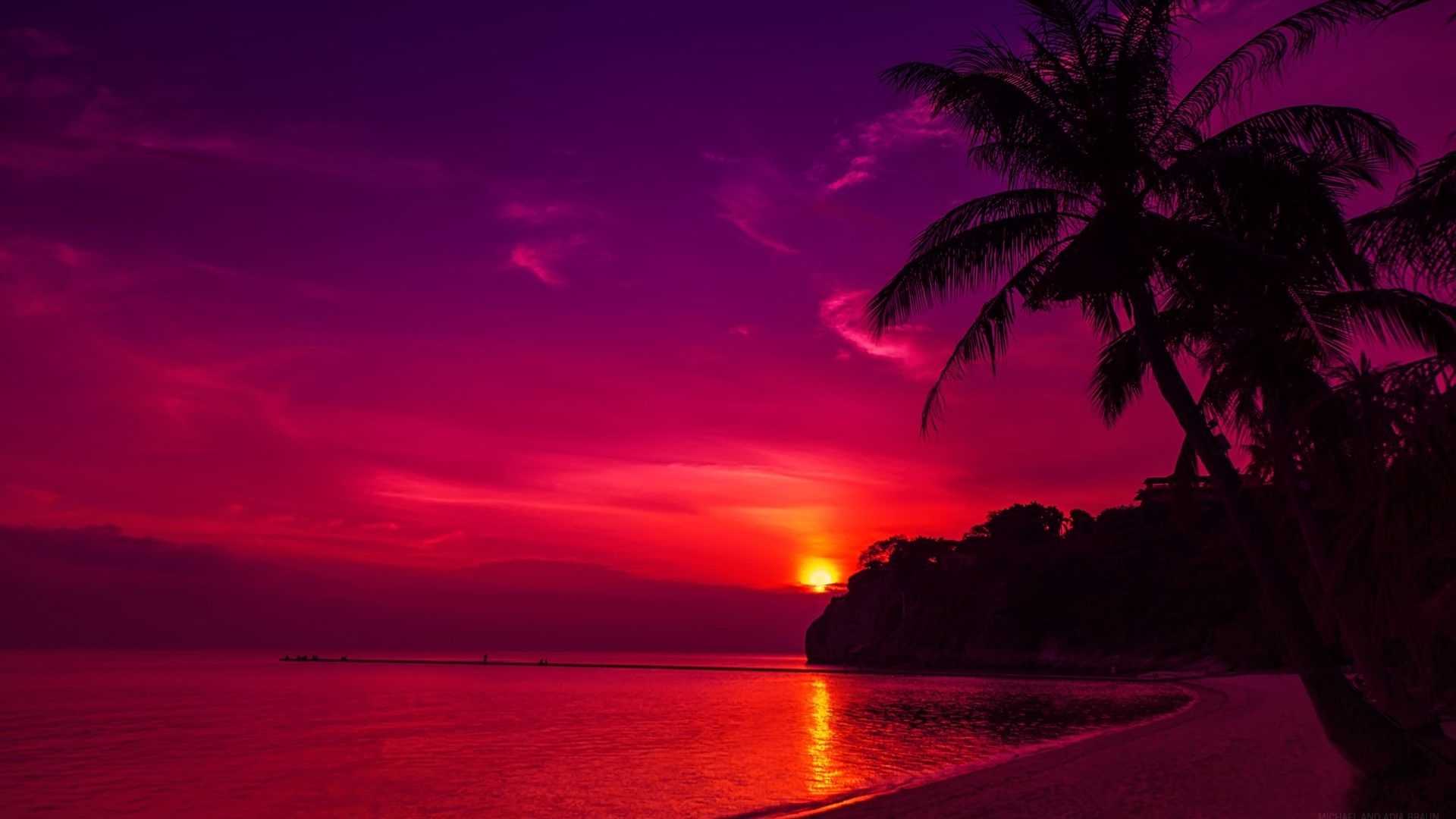 Red Sunset Beach Ocean Palm Tree Coconut Dark Gloom Night
