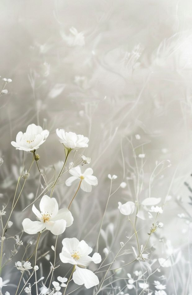 White Aesthetic Wallpaper