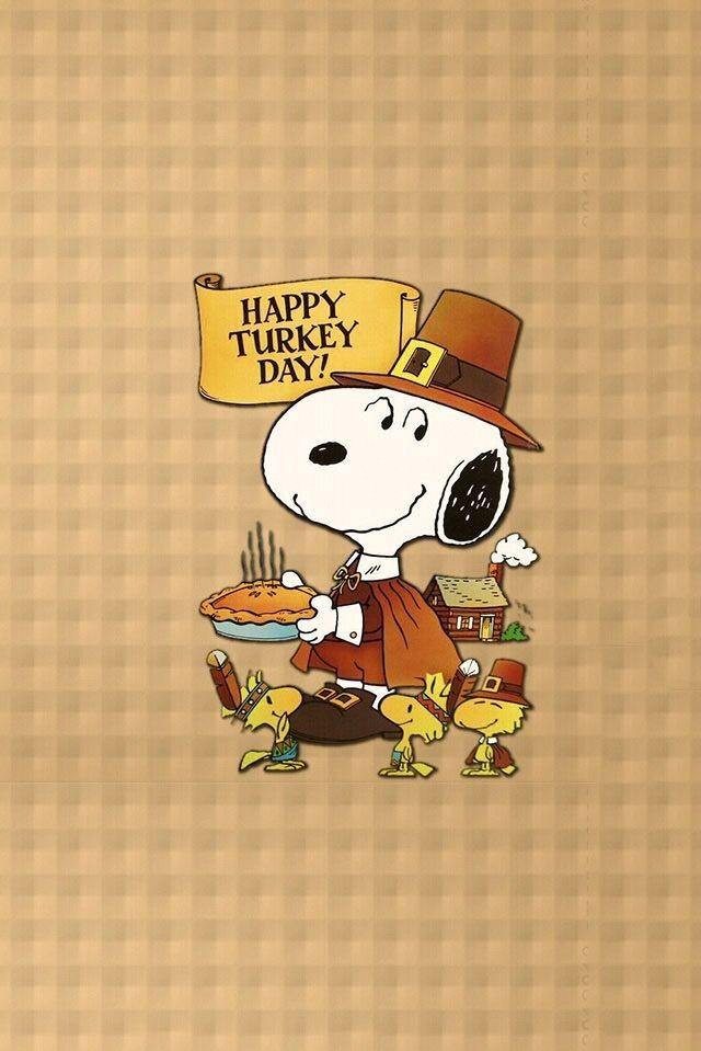 J M On Thanksgiving Snoopy Wallpaper