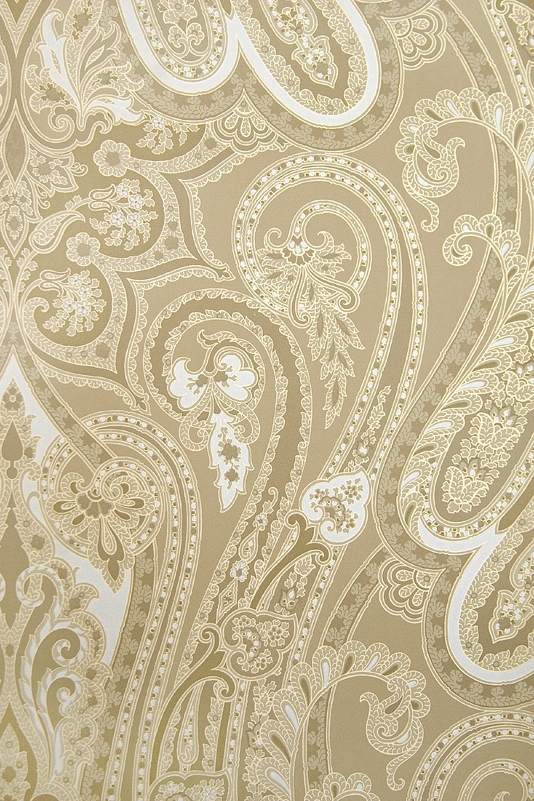 Mulberry Paisley Wallpaper Large Design In Brown And