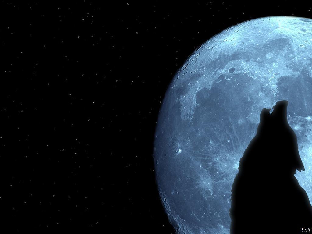 Puter Wallpaper Wolf And Moon