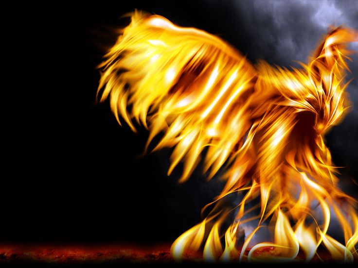 Pheonix Bird Digital Phoenix Picture Rising Wallpaper With