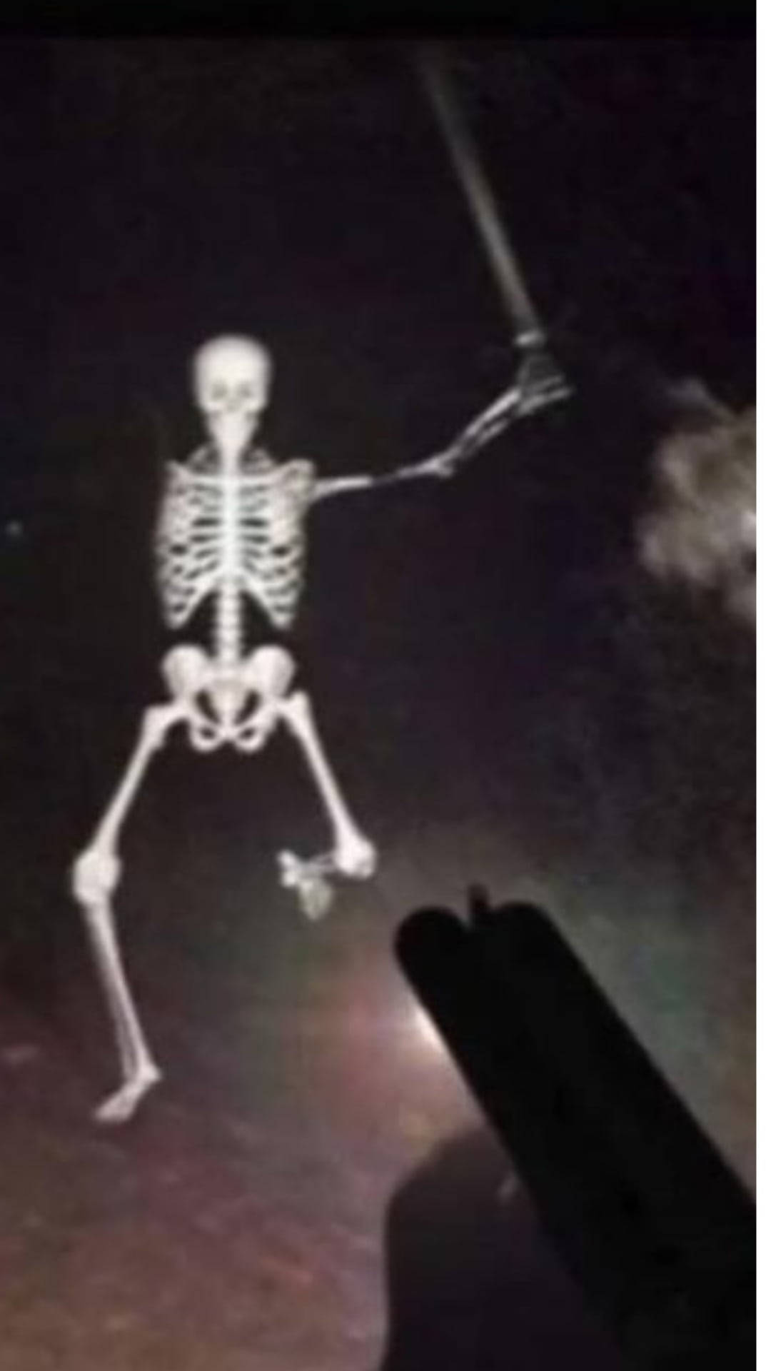 Skeleton Aesthetic Wallpaper