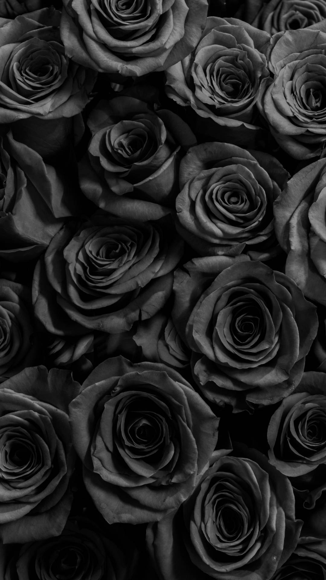 Top Cute Dark Girly Wallpaper Full HD 4k To Use