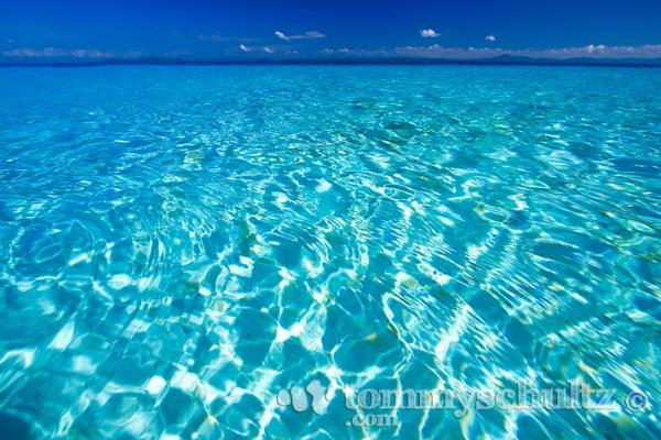 Blue Water White Sand Beaches In Bohol Caribbean Sea