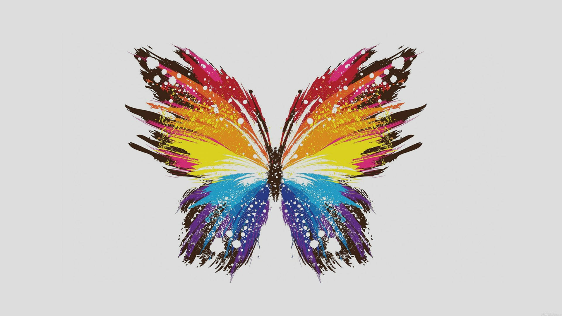 Multicolored Butterfly Ofyjtvjix672s5x6 Wallpaper