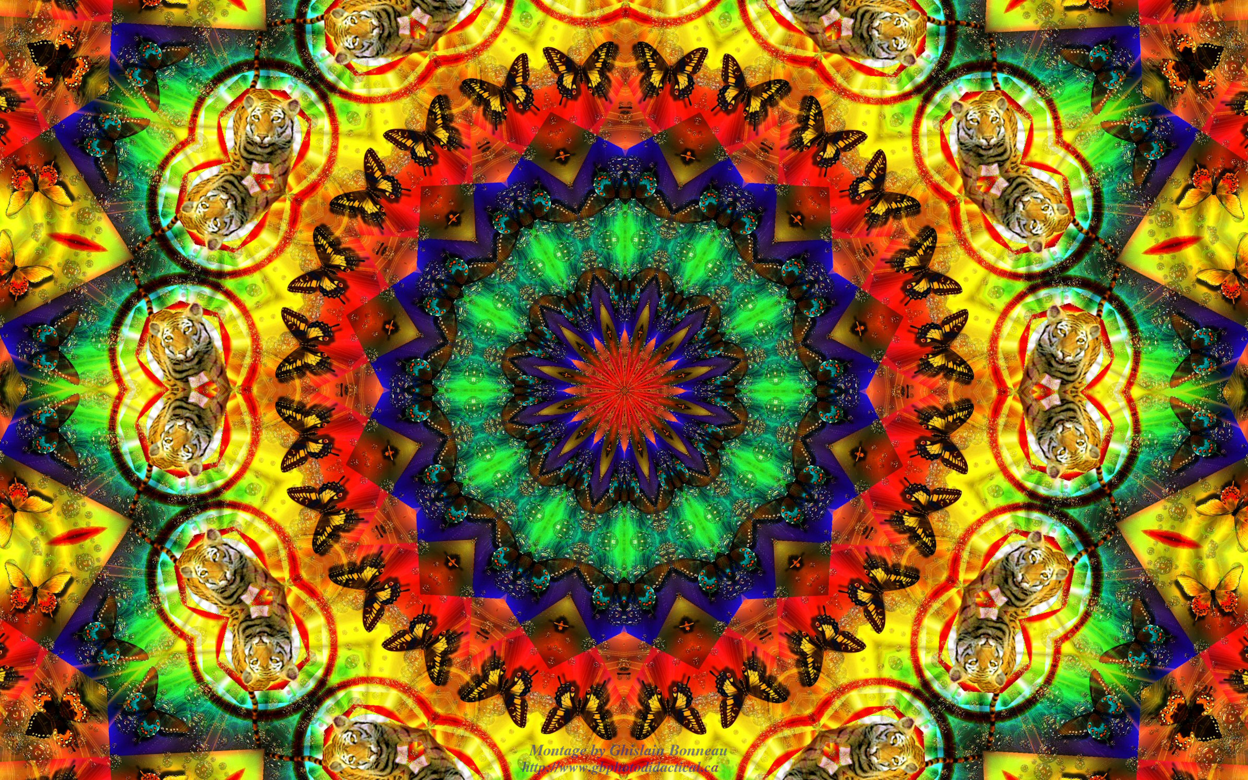 Free Psychedelic Wallpaper - WallpaperSafari