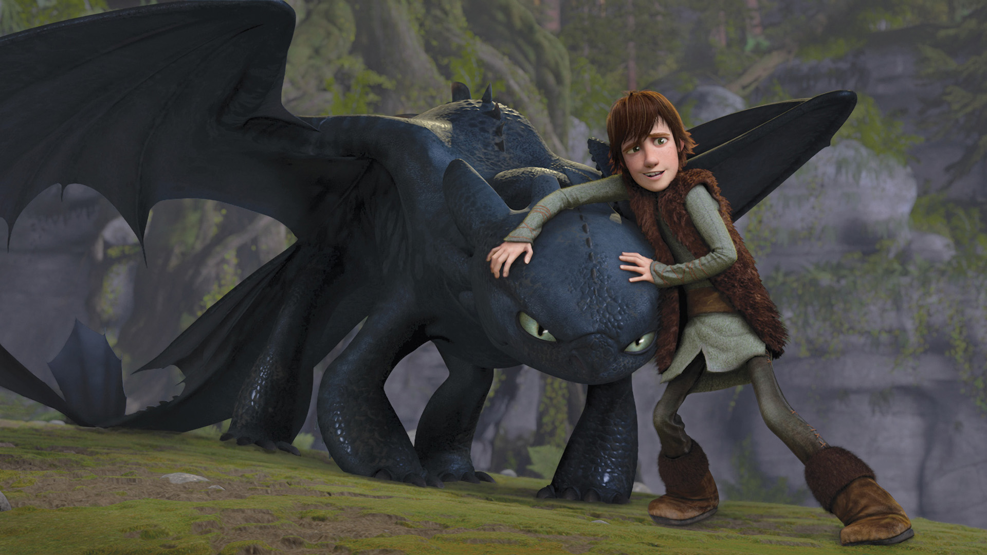 Movies Toothless Wallpaper How To Train