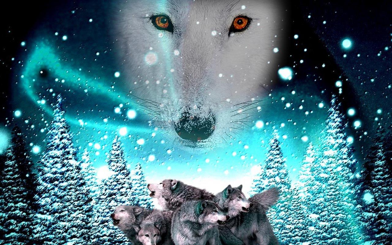 3D Wolf Wallpaper   Android Apps on Google Play