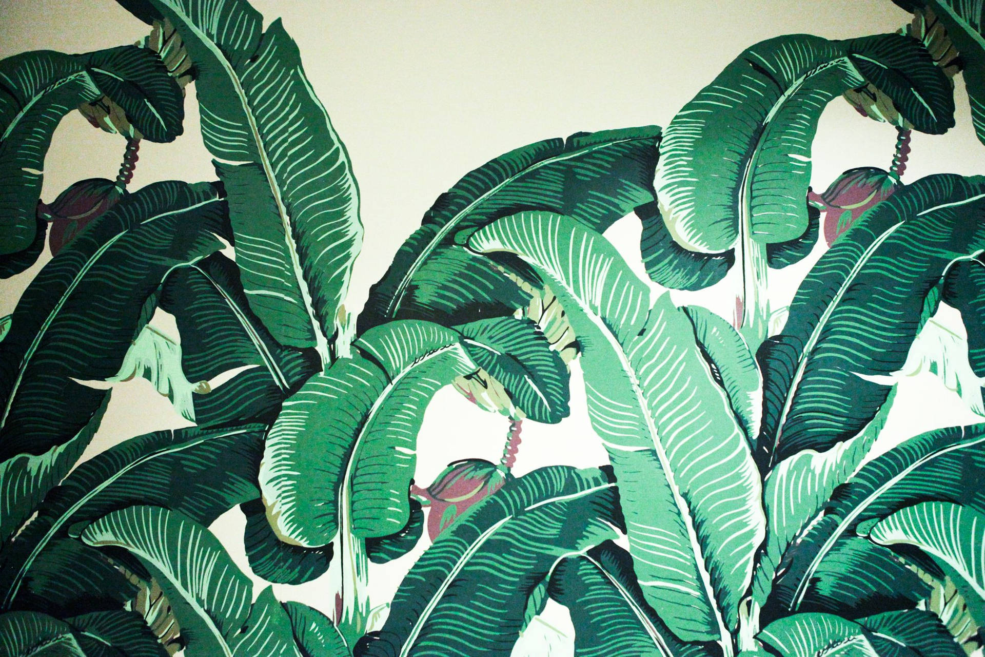 Banana Leaf Wallpaper