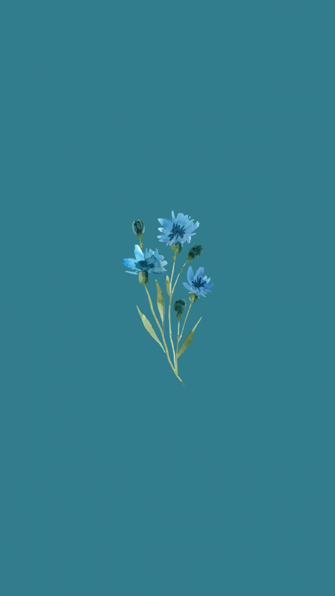 Blue flowers Wallpapers Download  MobCup