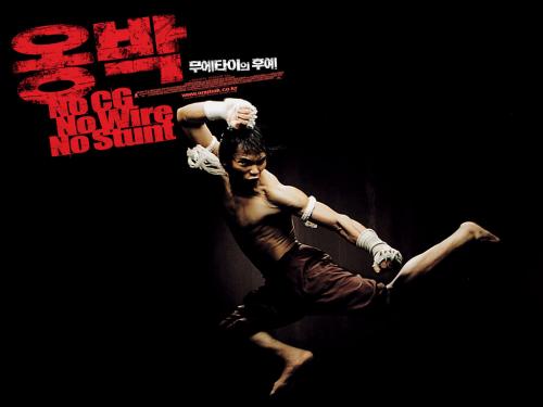 Related Wallpaper Movie Theater HD Ong Bak The Thai Warrior