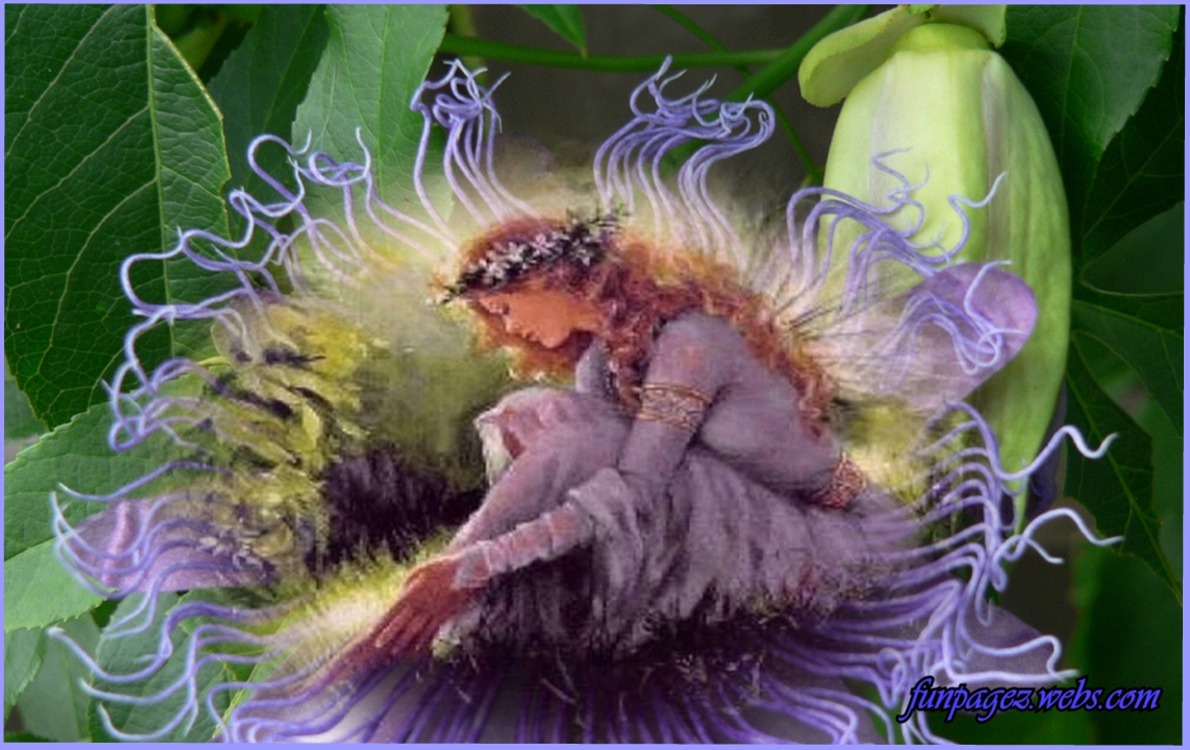 Fantasy Fairies Wallpaper Desktop By Mardi