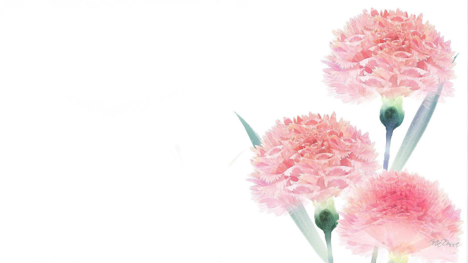 Simple Flower Desktop Wallpaper