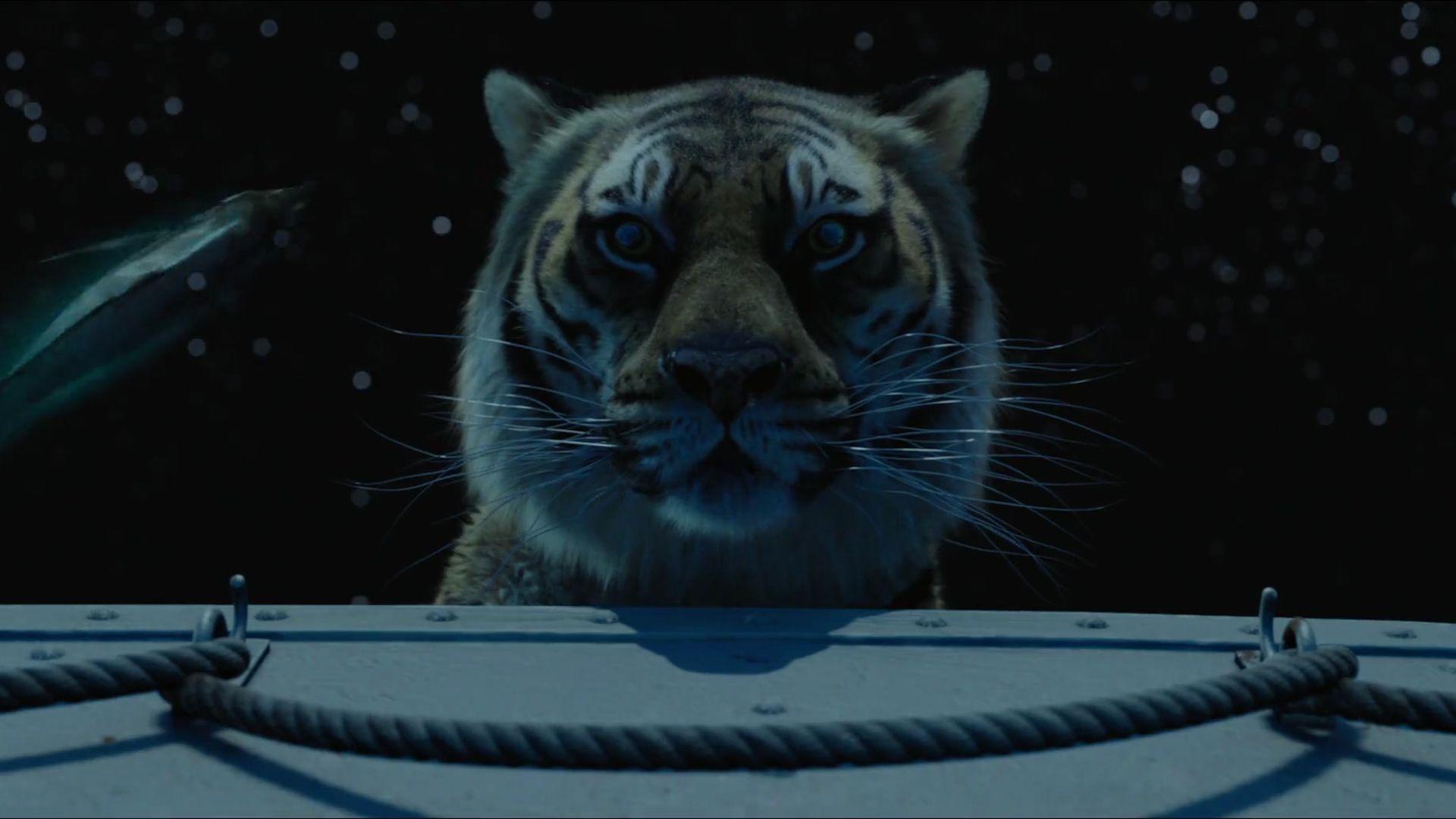 Life of Pi Wallpapers   Top Life of Pi Backgrounds 1920x1080