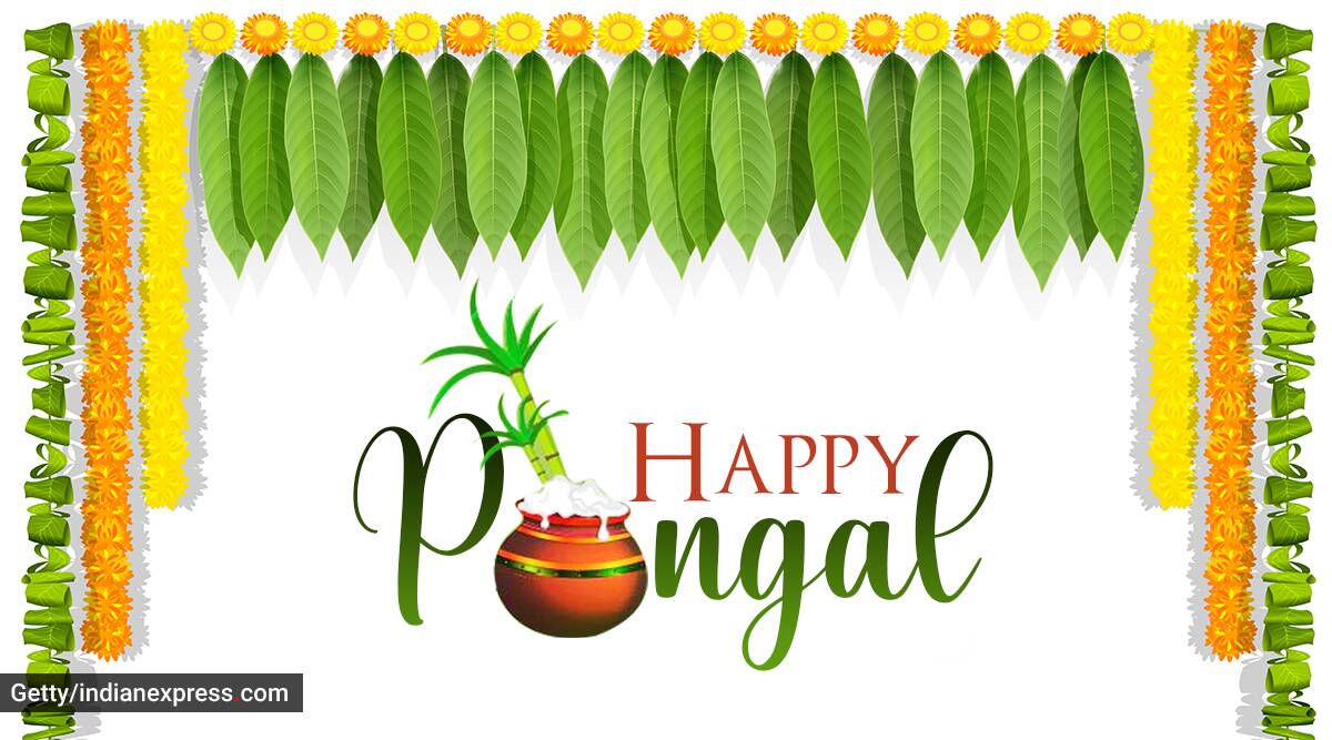 Happy Pongal Wishes Image Quotes Status Messages
