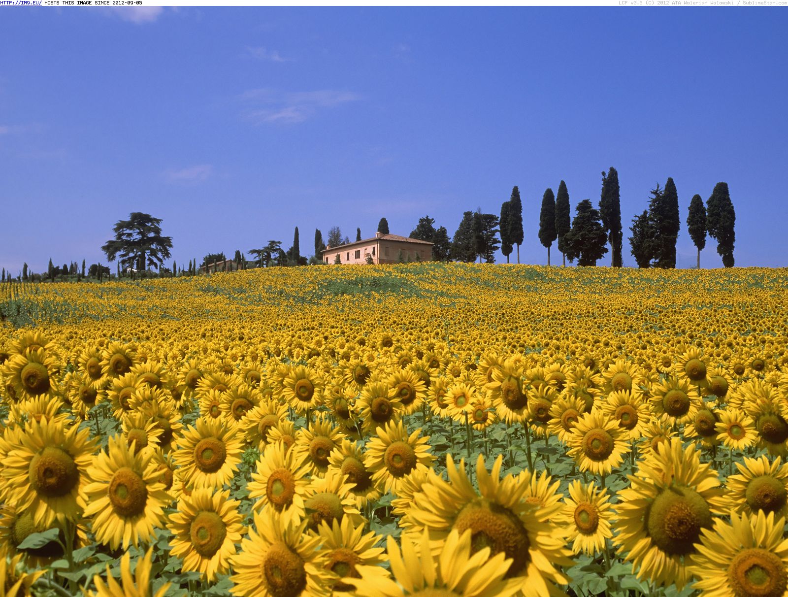 Published July At In Travel Around Tuscany