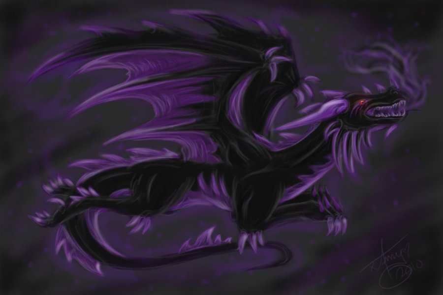 Cool Purple Dragon Wallpaper And Black By