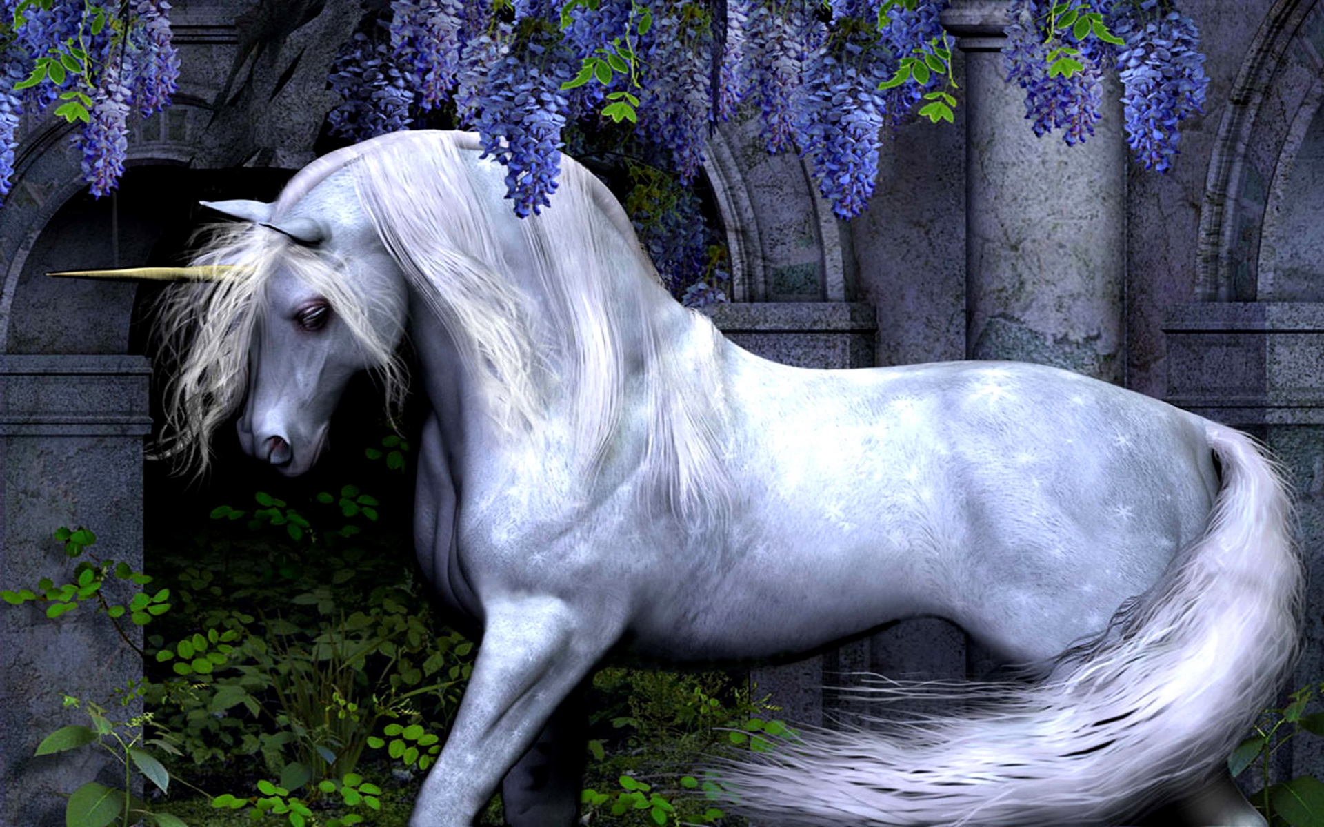 Fantasy Unicorn Wallpaper Desktop S