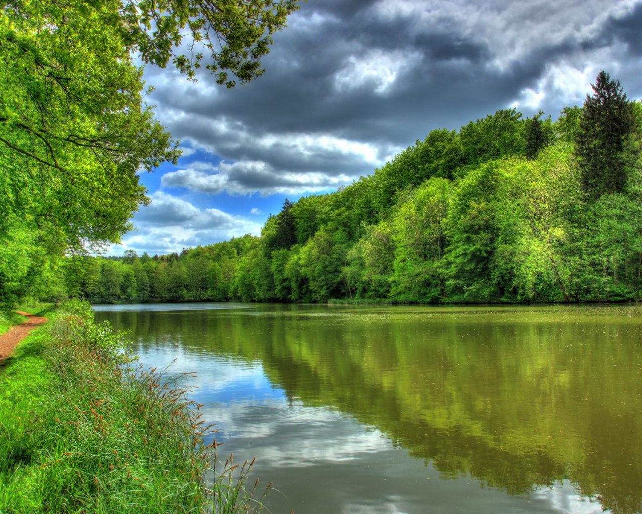 Green Forest River Way Hessen Desktop Pc And Mac Wallpaper