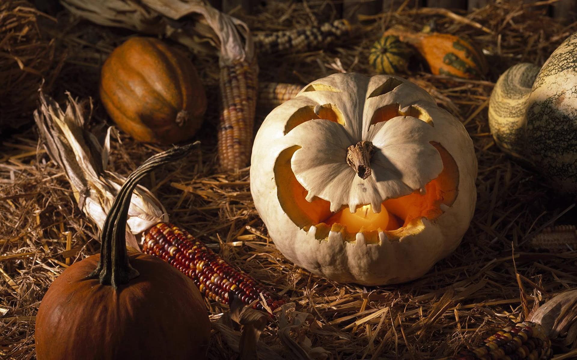 Cute Pumpkin Wallpaper For Desktop