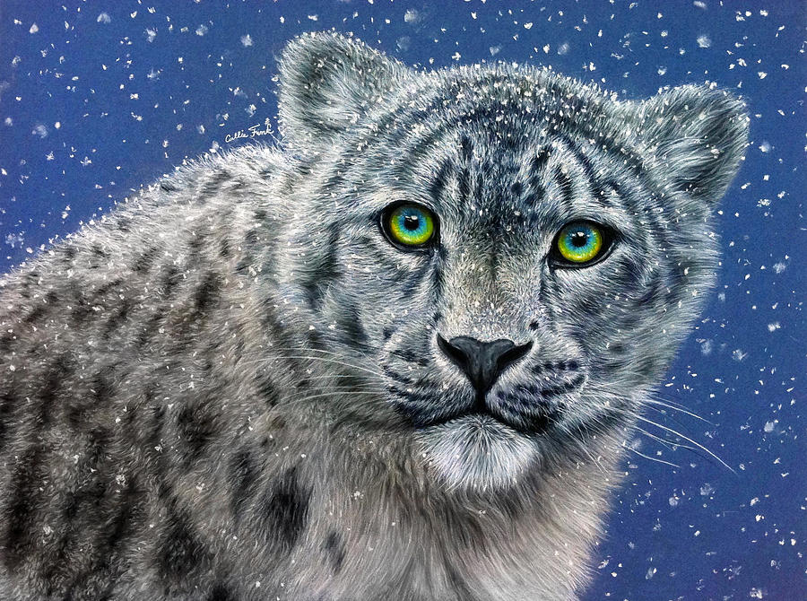 Snow Leopard Painting Fine Art Print
