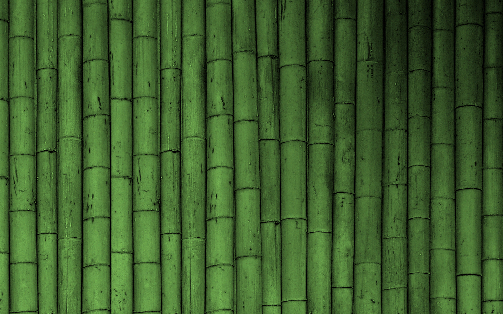 Bamboo Wallpaper Green