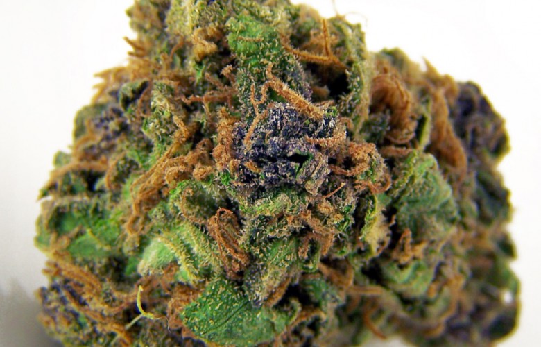 Very Berry Marijuana Bud HD Weed Wallpaper