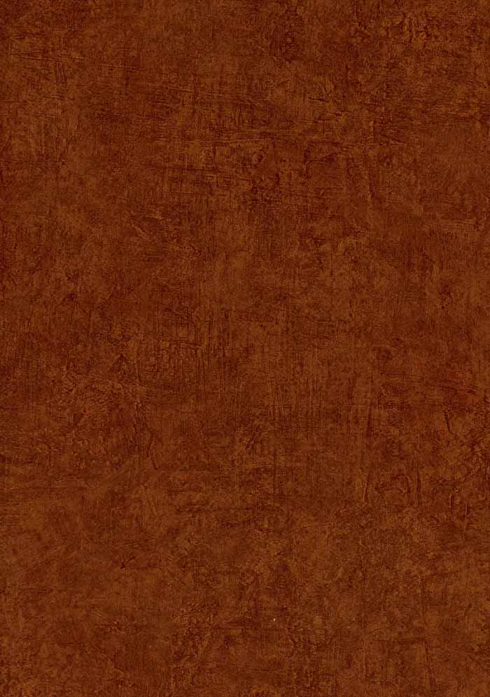 Burnt Orange Faux Wallpaper ENC4071   Wallpaper Border Wallpaper 700x994