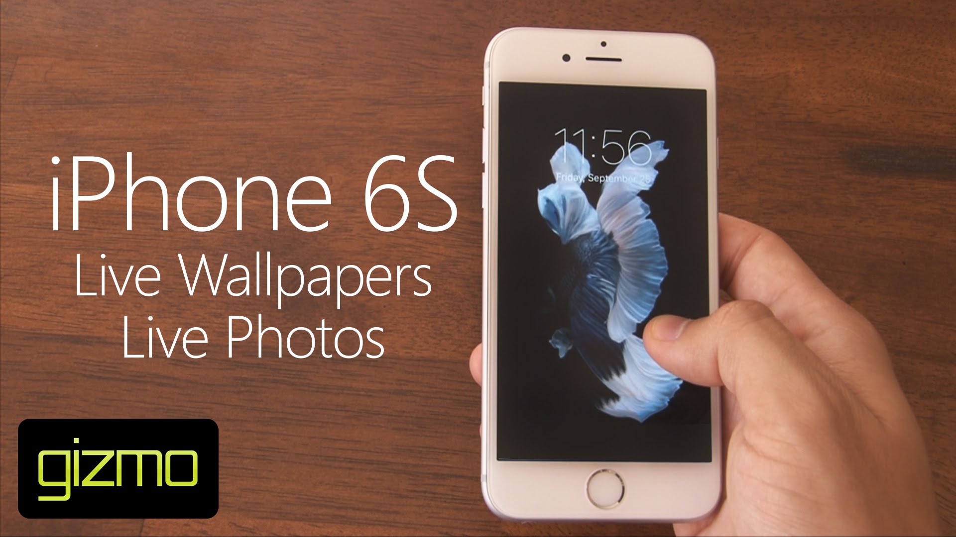 iPhone 6s Live Wallpaper Photos