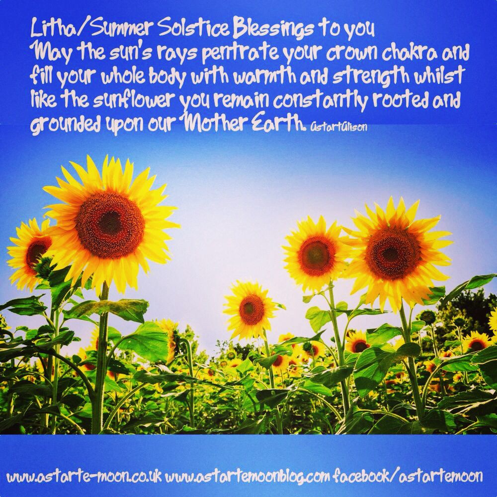 Summer Solstice Sea Green Lifestyle Sunflower Wallpaper