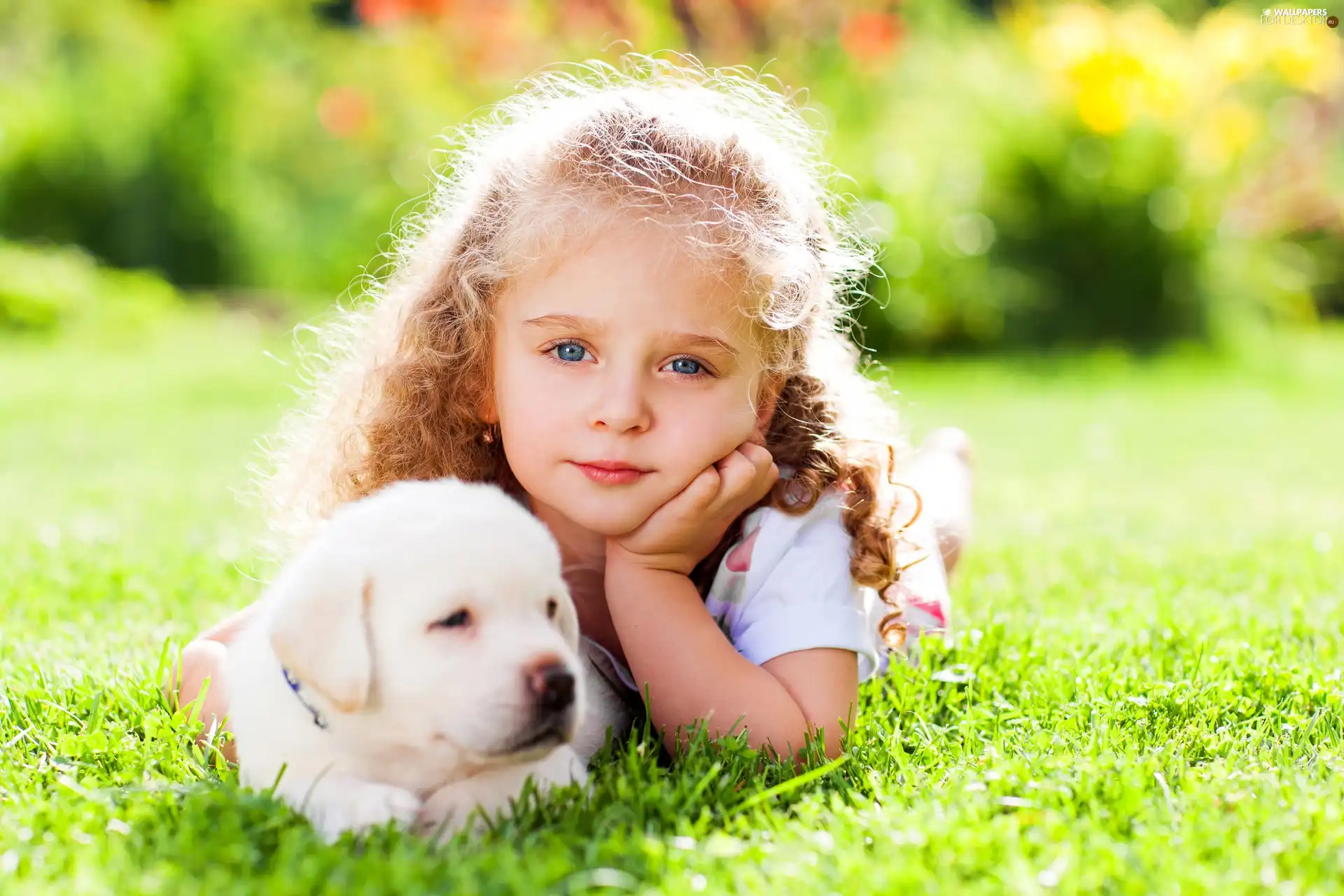 Girl Puppie Grass Dog Wallpaper